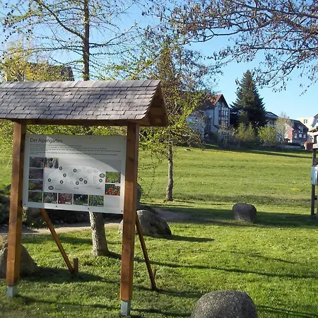 Haus Madeleine Daire *